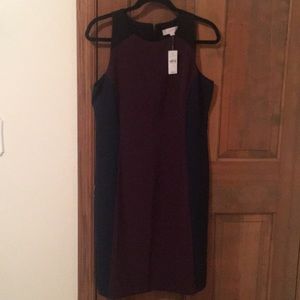 Sleeveless Loft sheath dress